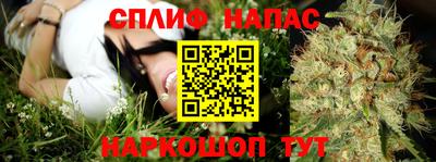 стафф Новодвинск
