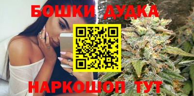 стафф Новодвинск