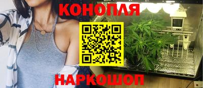 стафф Новодвинск