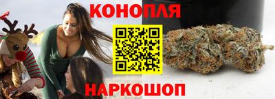 стафф Новозыбков