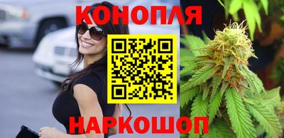 стафф Новозыбков