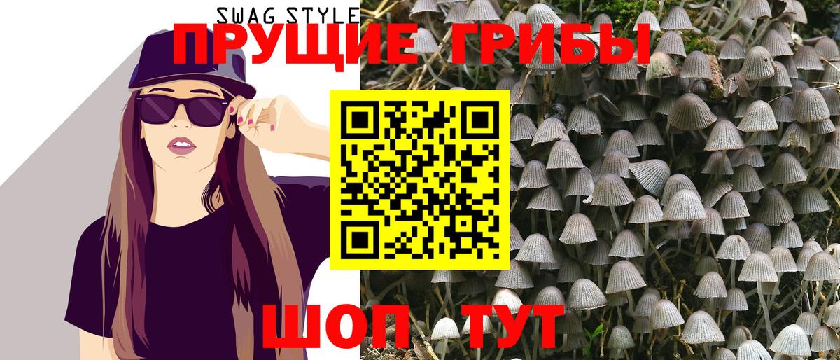 Псилоцибиновые грибы Cubensis Сланцы