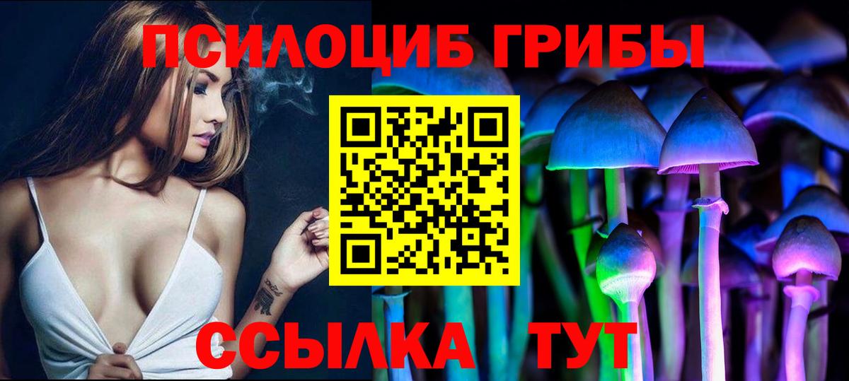 Сланцы  Псилоцибиновые грибы мицелий  Галлюциногенные грибы Psilocybine cubensis  Вход с VPN 